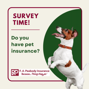 Do you live in Maine and currently have pet insurance?